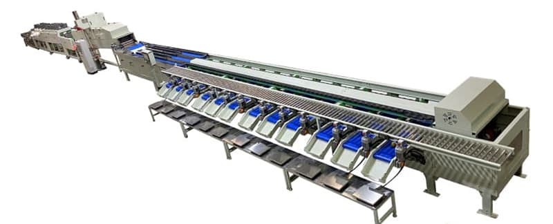 clasificadora de aguacate